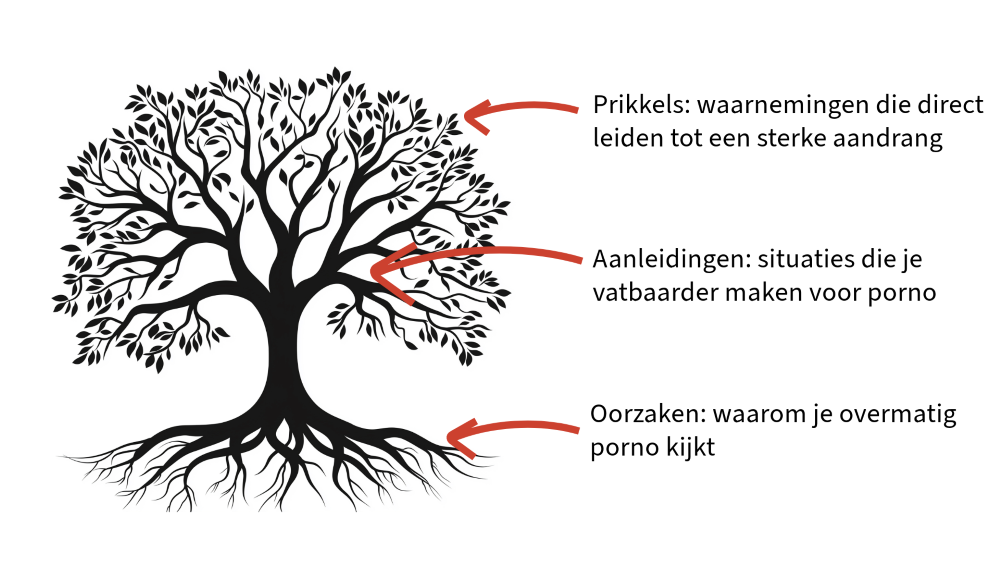 De redenen waarom je overmatig naar porno kijkt kan je onderverdelen in oorzaken, aanleidingen en prikkels